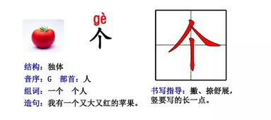 构组词和部首