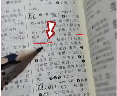 惹怎么读组词