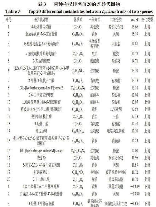 果子果果怎么组词