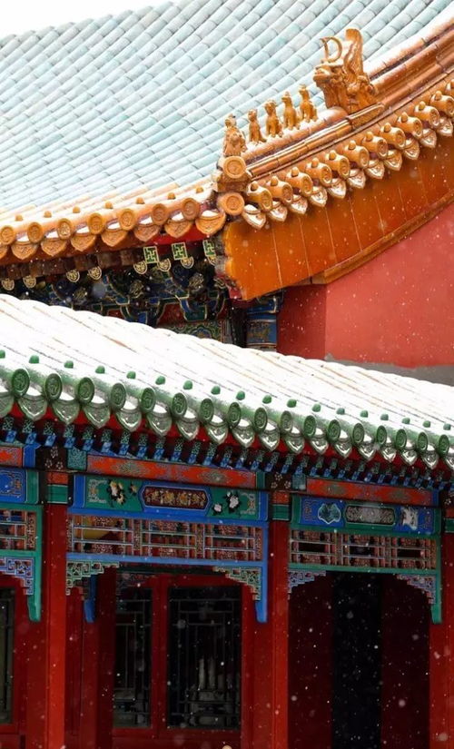 故宫的雾怎么组词