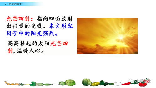 捎梢怎么组词