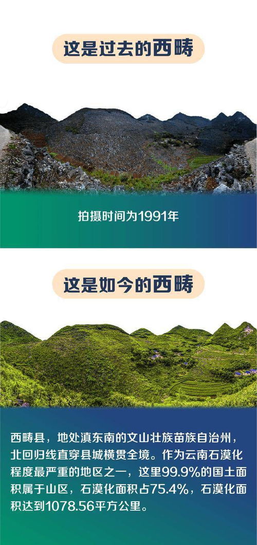 畴怎么组词西畴的畴