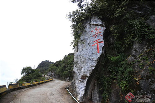畴怎么组词西畴的畴
