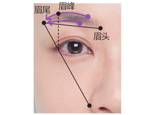 眉的组词