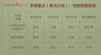 老虎的孔怎么组词啊