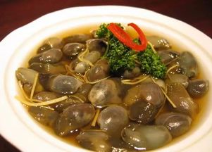 泥螺怎么组词