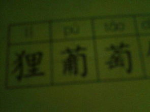哥组词组