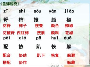 花丛虫怎么组词