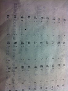 滴第怎么组词