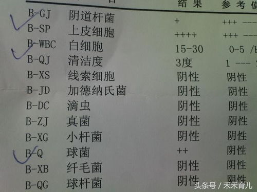 打针的针怎么组词