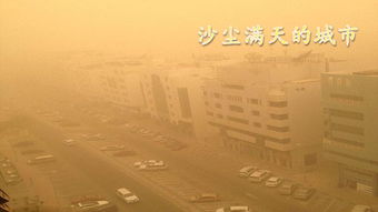 不老怎么组词