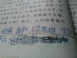 精卫填海的填字怎么组词
