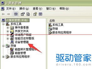 小度反应怎么组词