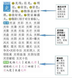 波伯伯怎么组词