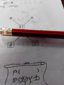 户组词语