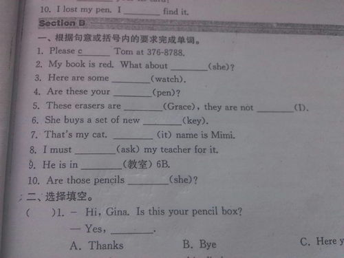 荷叶的叶怎么写怎么组词