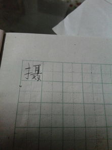 屏的组词