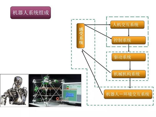 机器人可以怎么组词呢