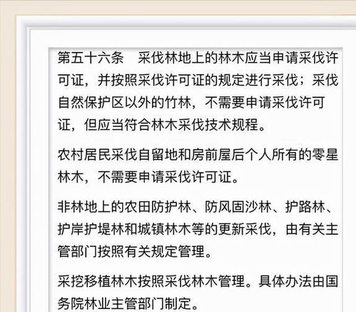 砍树的砍能怎么组词