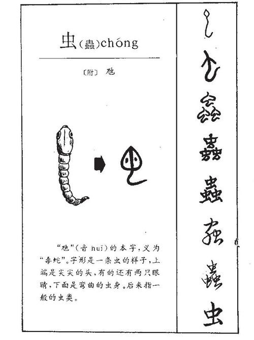 会虫的喙怎么组词