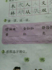 我看你怎么组词