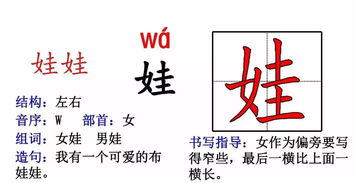 植物的睛怎么组词