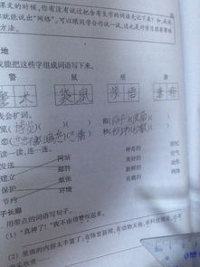 揽怎么组词览
