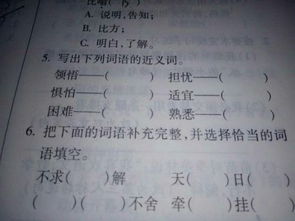 欢快的快可以怎么组词