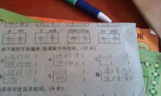 兰加偏旁再组词