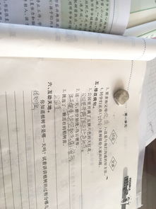 松柏的柏怎么组词