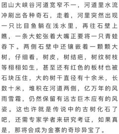 团山的团怎么组词