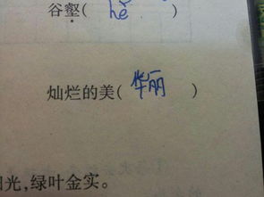 妆美怎么组词