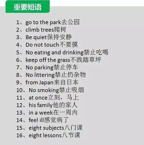 义怎么组词语