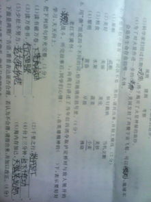 条怎么组词