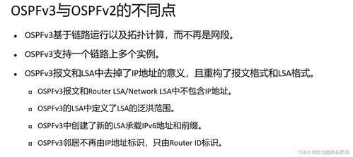 邻居的邻组词