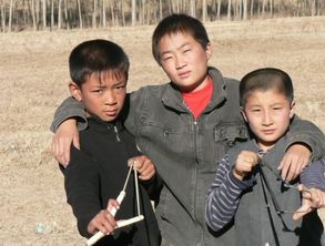 哥哥的哥怎么组词啊