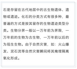 化石的话还可以怎么组词
