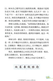 段都能断怎么组词