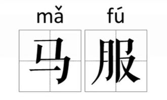 姓孙的怎么组词啊
