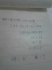 臭脚的兔怎么组词