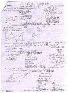 精神的精怎么组词怎么写