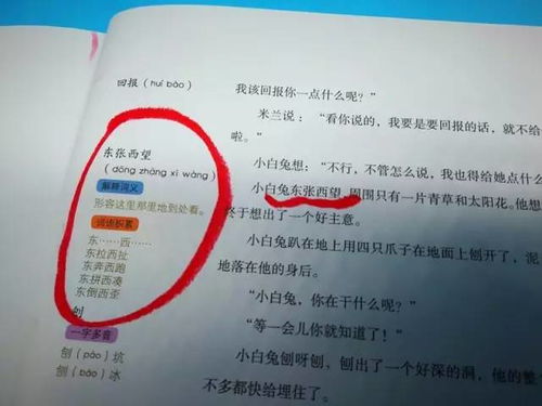 补充的补怎么组词补补