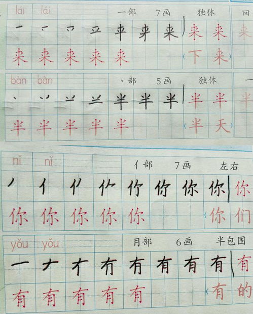 担怎么组词儿