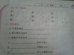 补怎么组词语