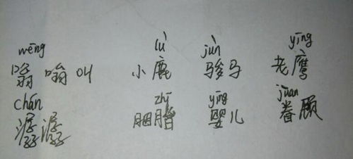 激扬将怎么组词