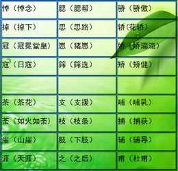 对吗对吗怎么组词