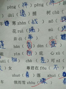 涿怎么组词什么意思