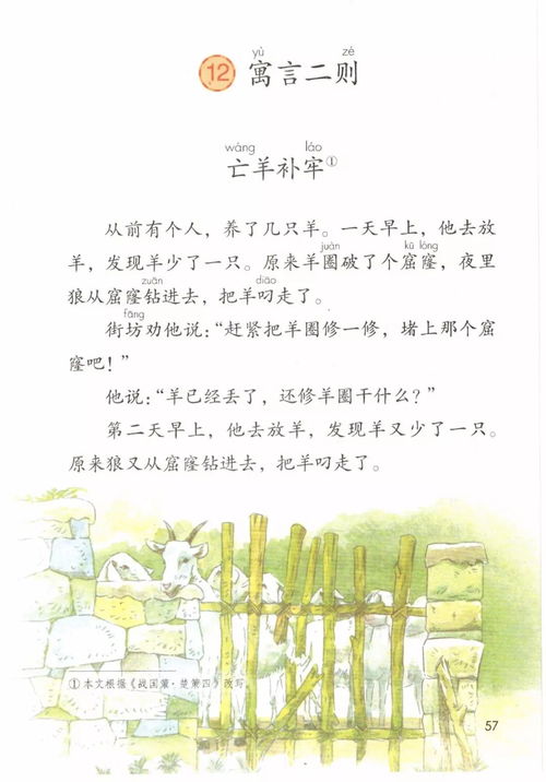 供可以怎么组词