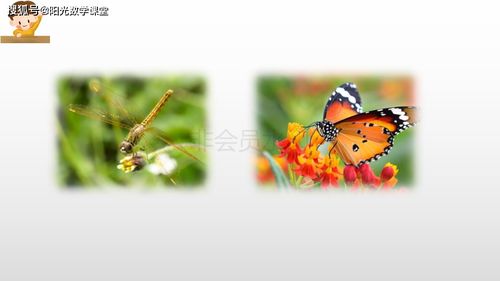 恐龙的歌怎么组词