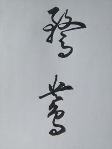 鸯字怎么写组词